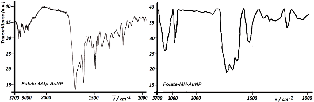 Cancers 02 01911 g006 1024