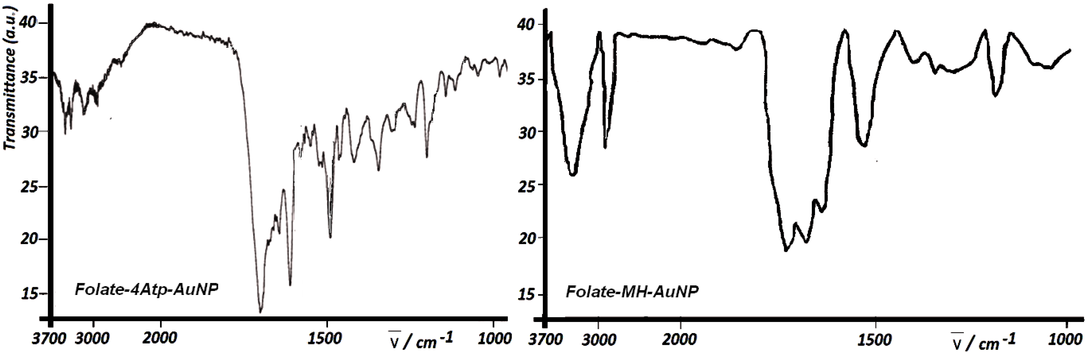 Cancers 02 01911 g006