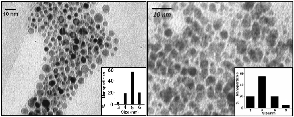 Cancers 02 01911 g007 1024