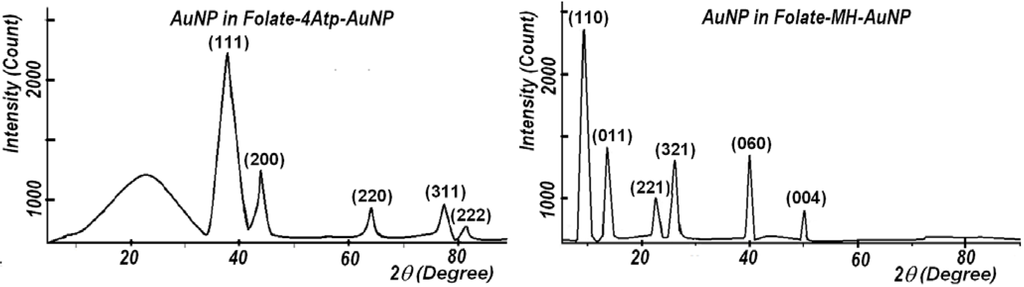 Cancers 02 01911 g008 1024