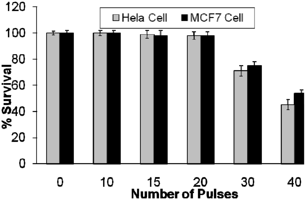 Cancers 02 01911 g010 1024