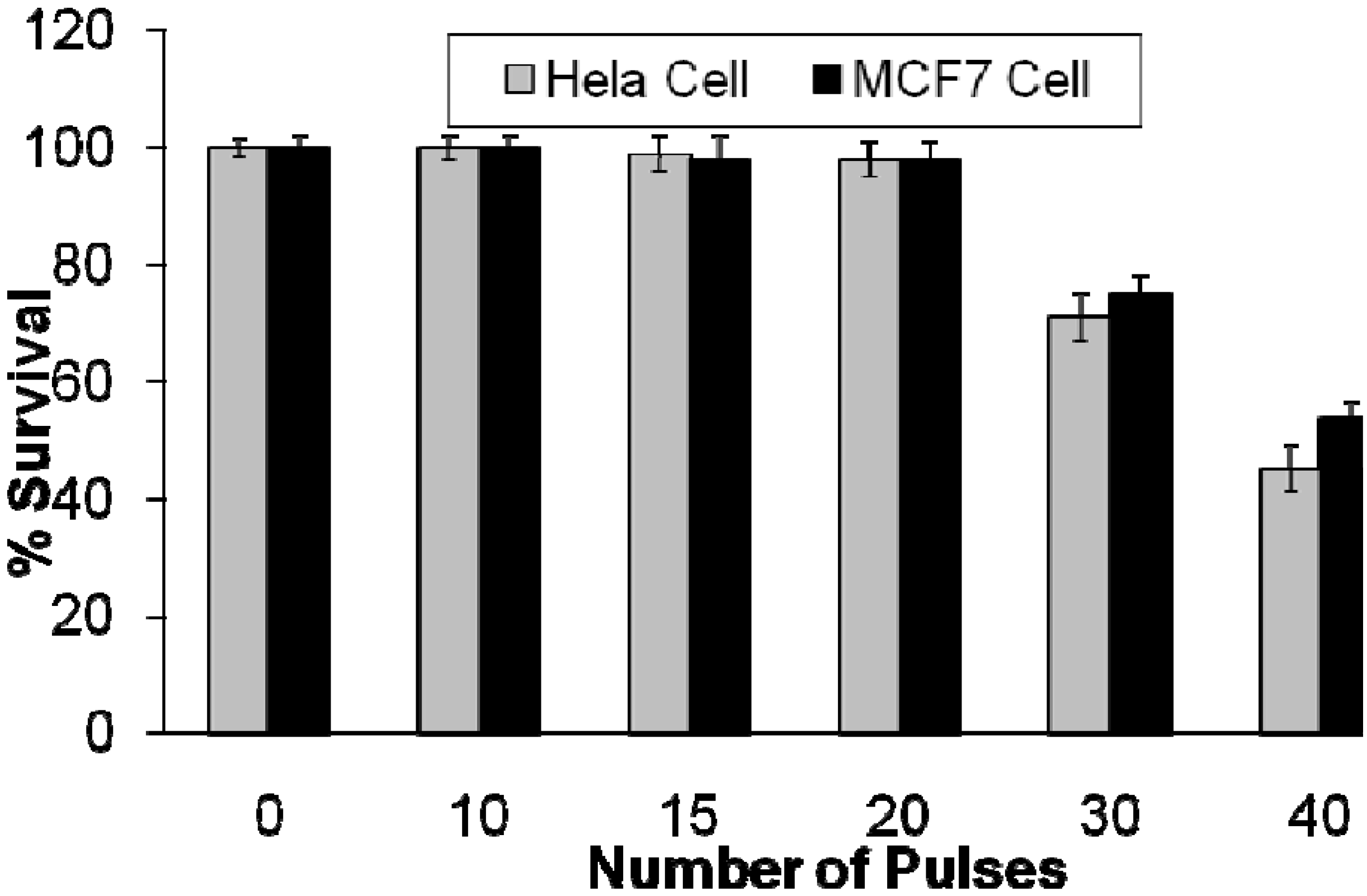 Cancers 02 01911 g010
