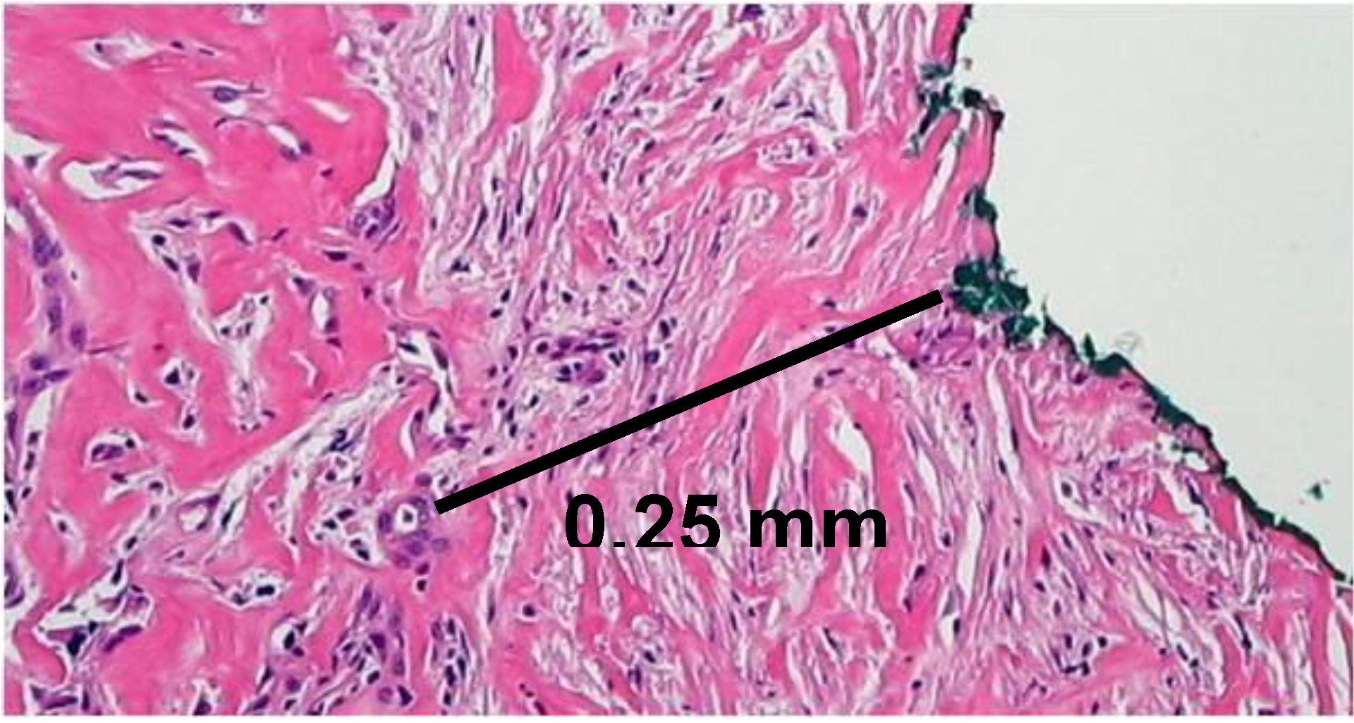 Cancers 02 02001 g002