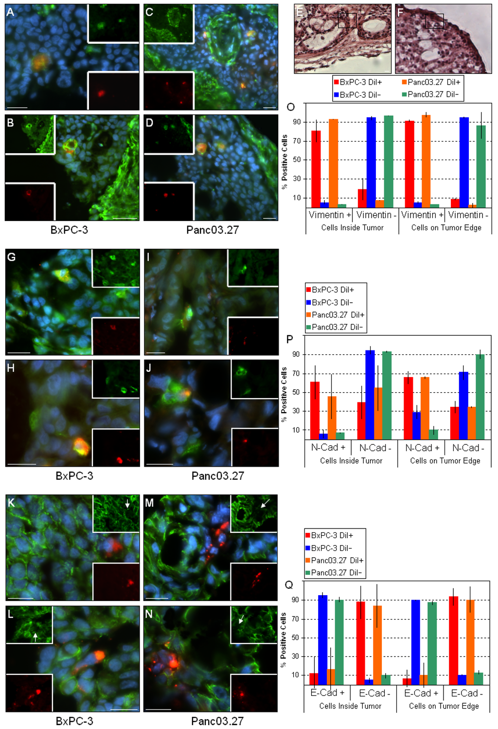 Cancers 02 02011 g003 1024