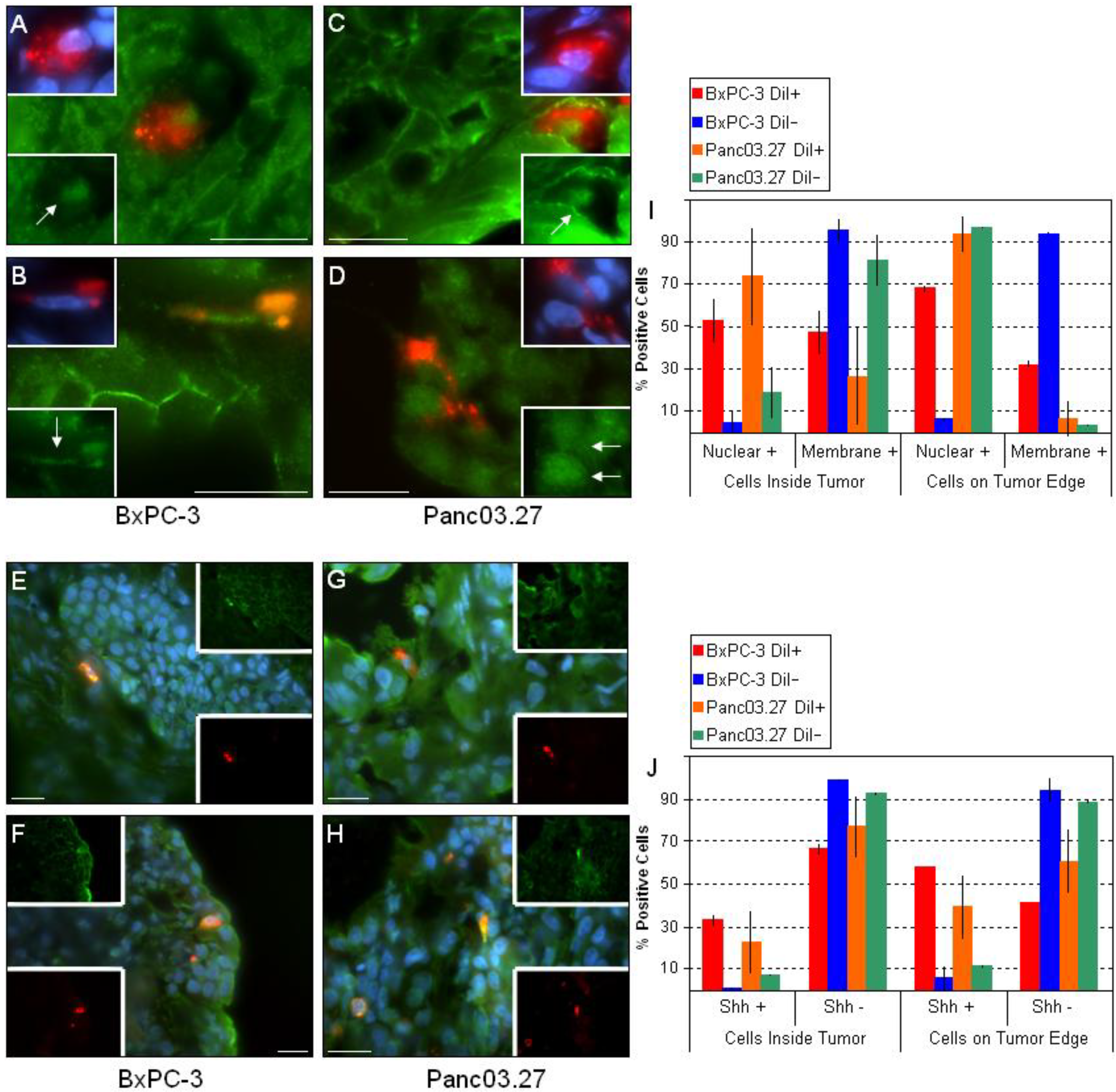 Cancers 02 02011 g004