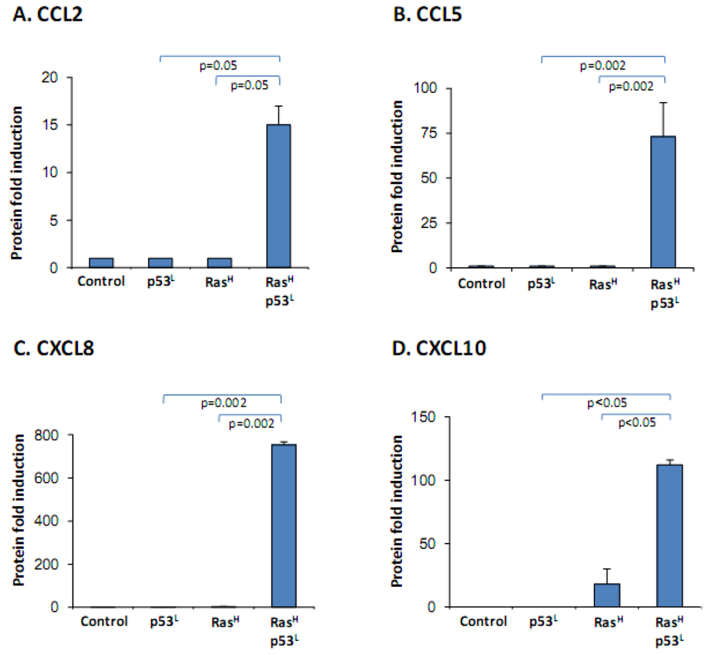 Cancers 04 00055 g002 1024