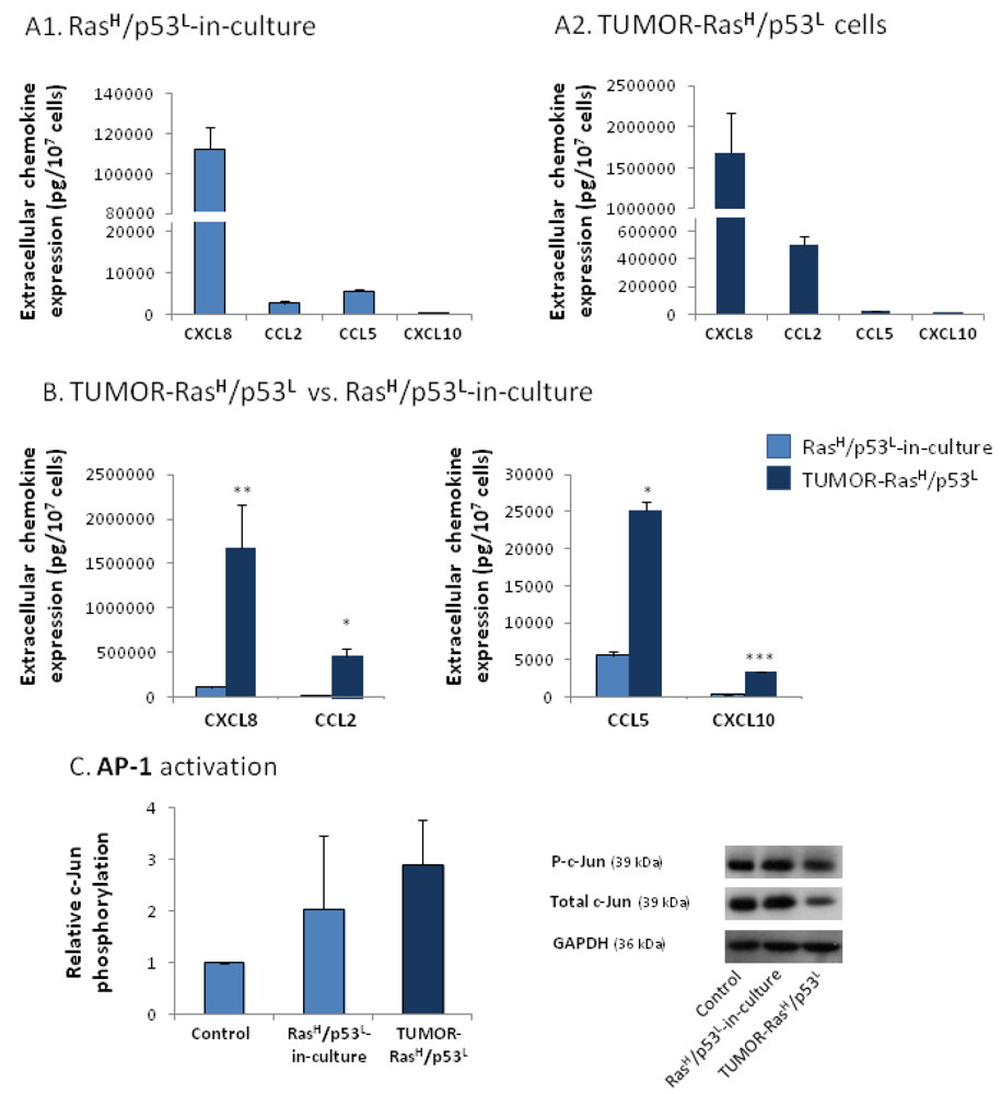 Cancers 04 00055 g004