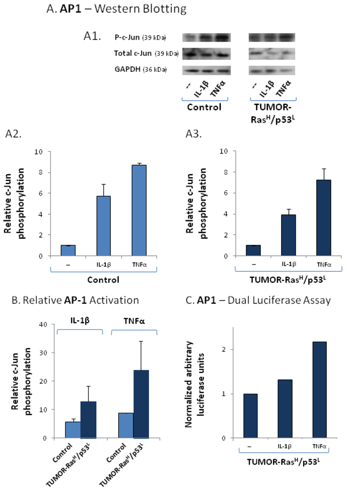 Cancers 04 00055 g005