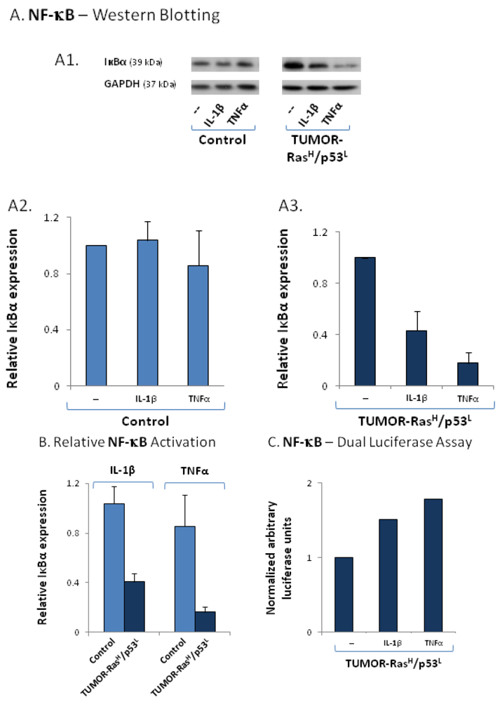 Cancers 04 00055 g006