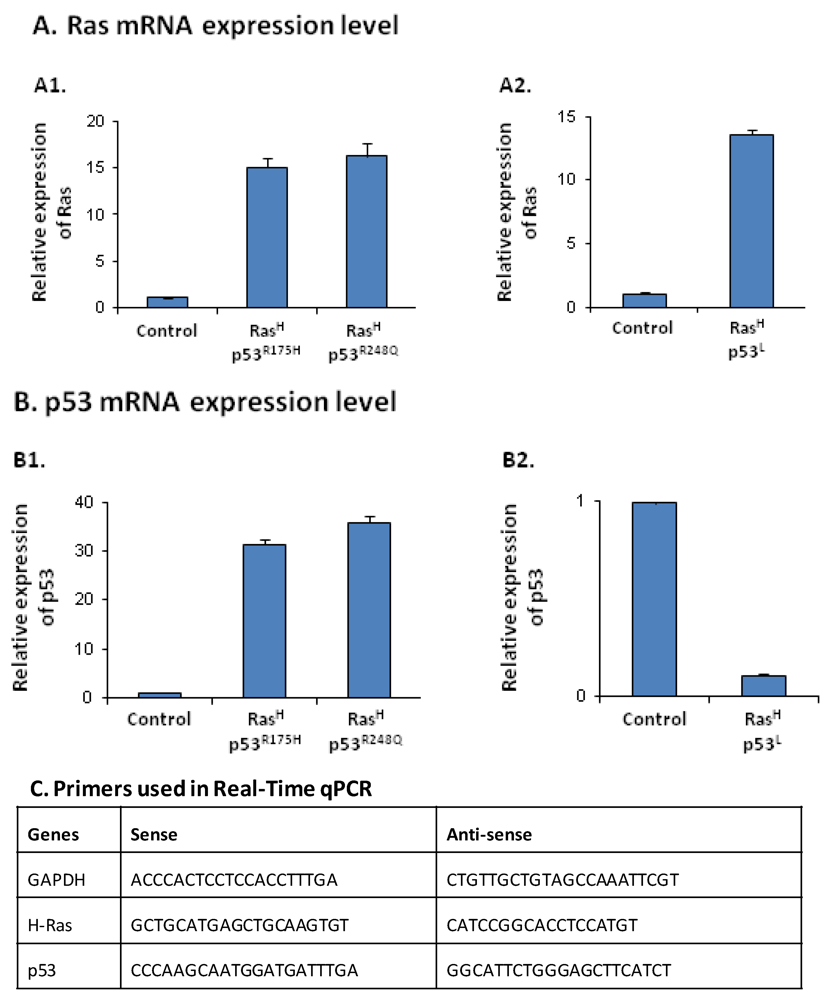 Cancers 04 00055 g008