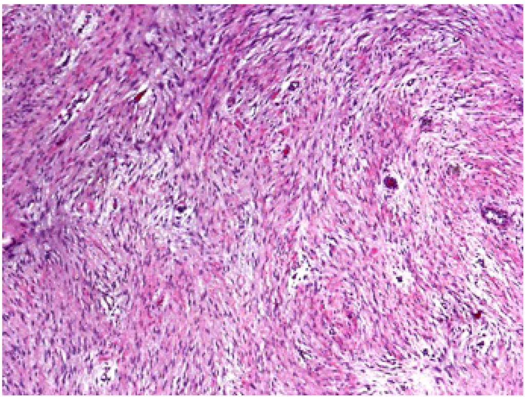 Cancers 04 00295 g001 1024