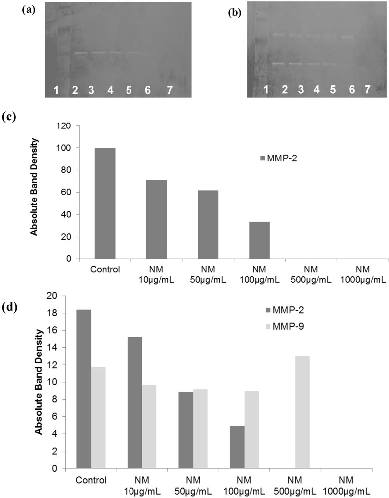 Cancers 04 00323 g003 1024