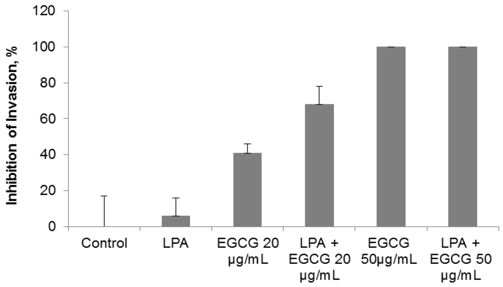 Cancers 04 00323 g004 1024