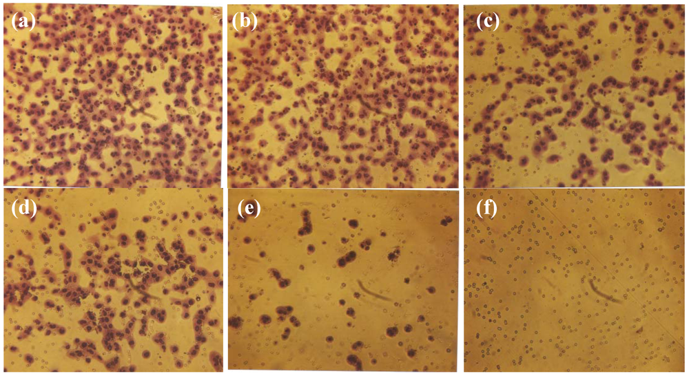 Cancers 04 00323 g007