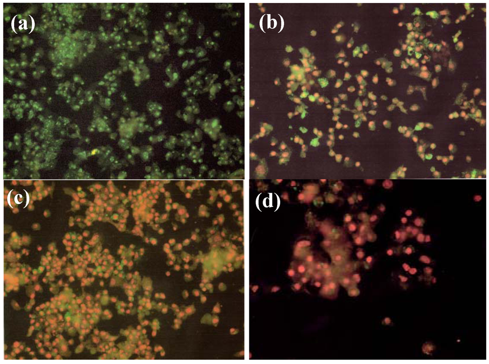 Cancers 04 00323 g008 1024