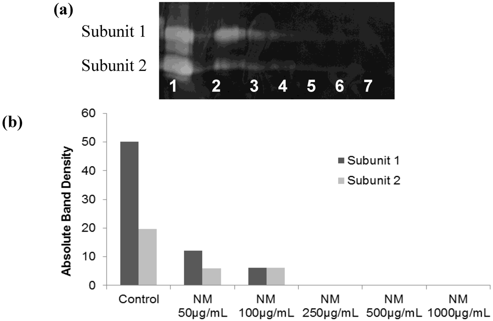 Cancers 04 00323 g010 1024