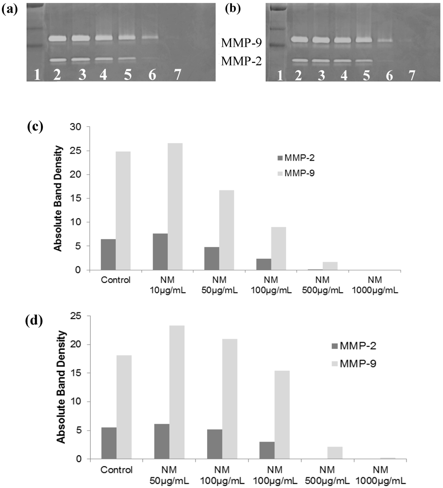 Cancers 04 00323 g011
