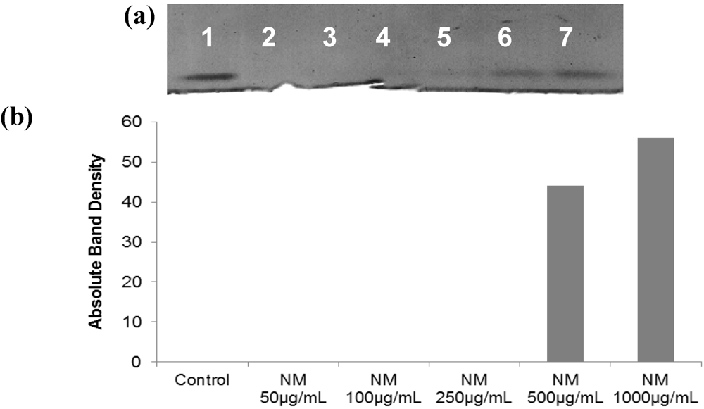 Cancers 04 00323 g012