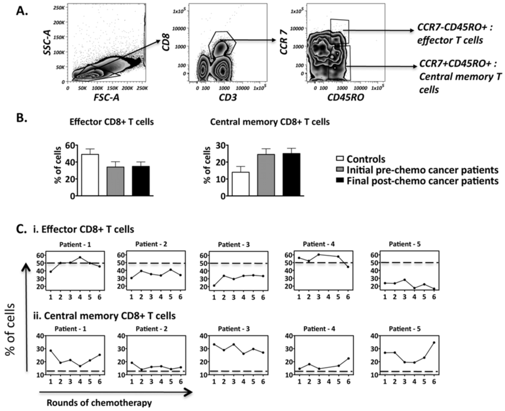 Cancers 04 00581 g002 1024