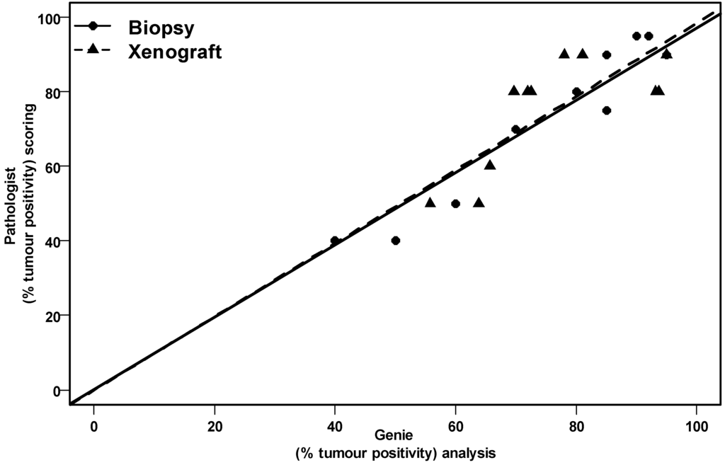 Cancers 04 00821 g003 1024