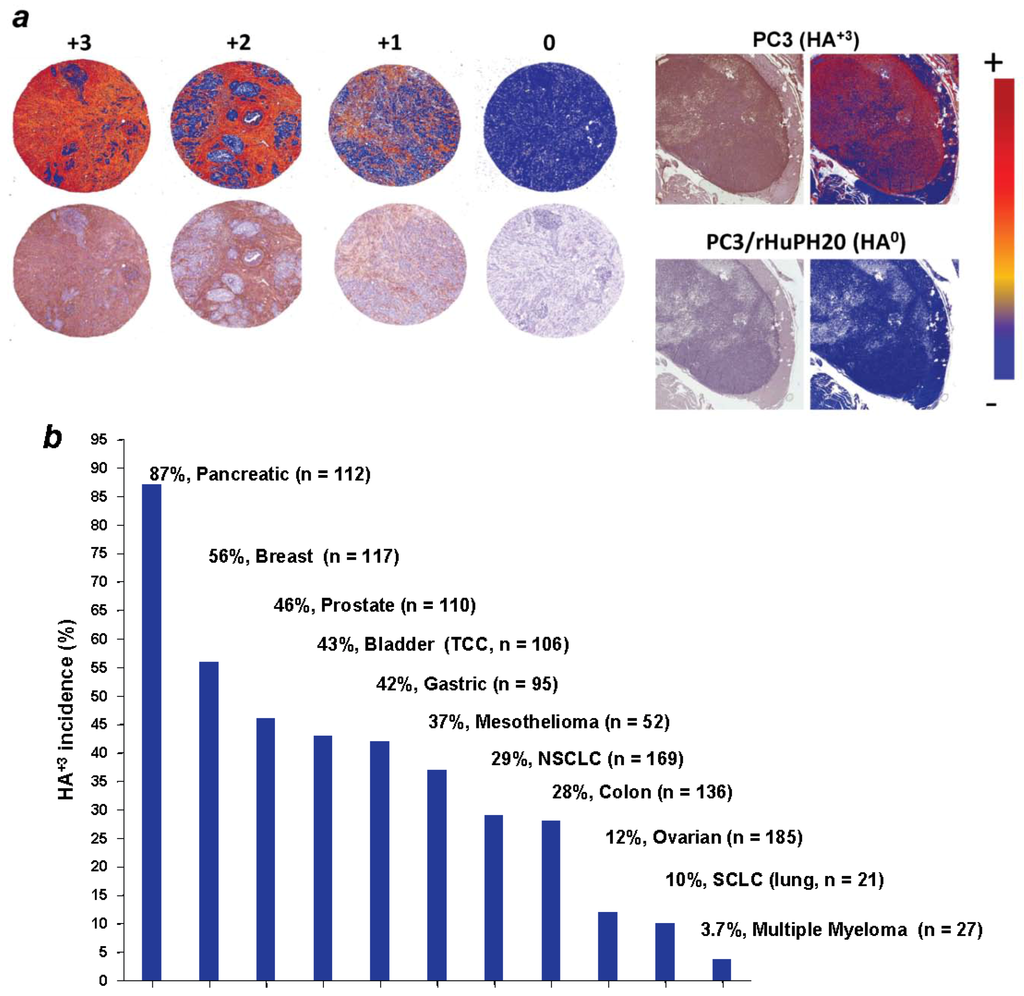 Cancers 04 00873 g001 1024
