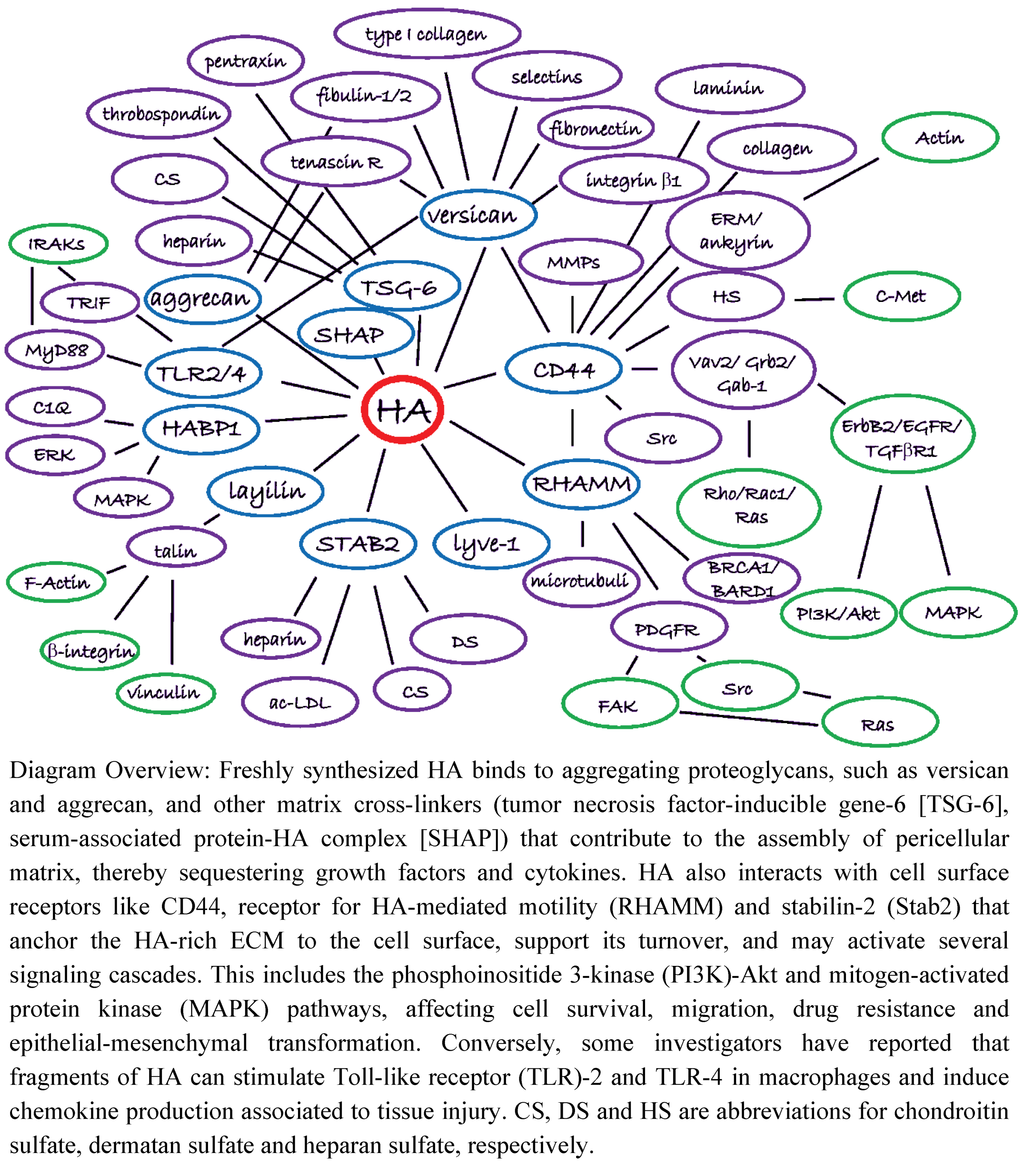 Cancers 04 00873 g002 1024
