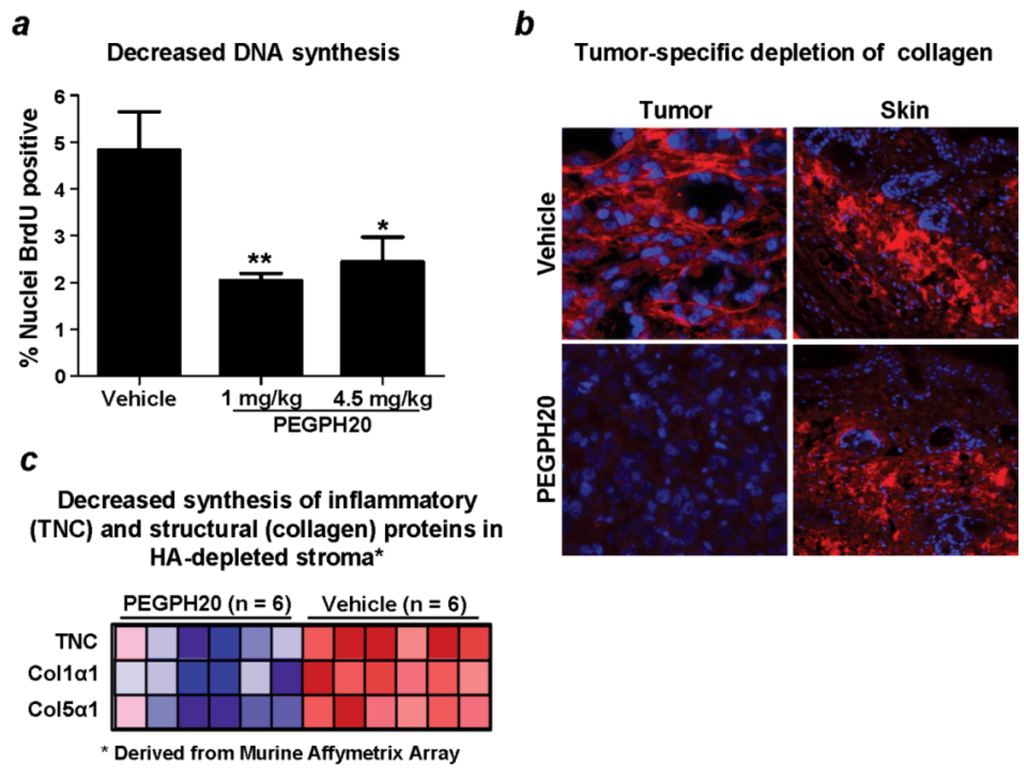 Cancers 04 00873 g007 1024