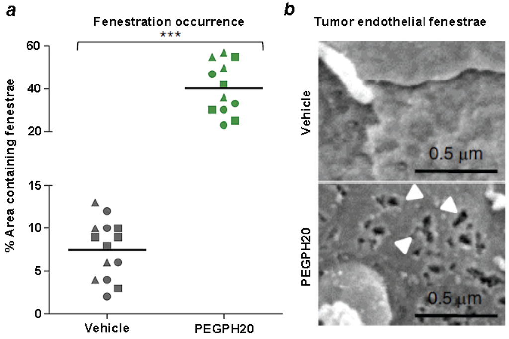 Cancers 04 00873 g008 1024