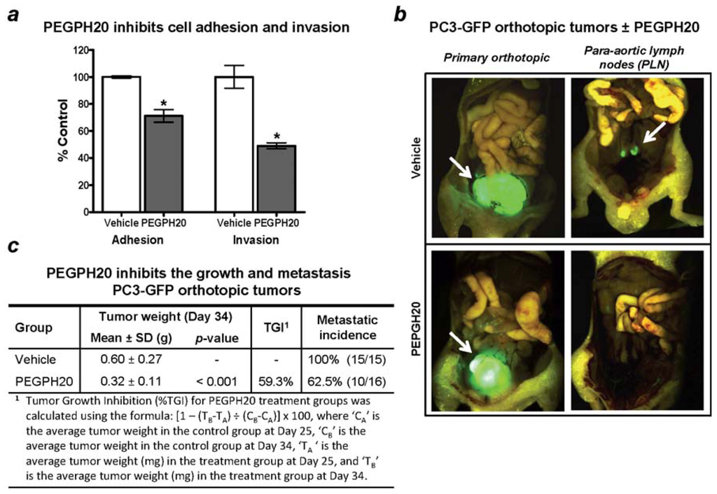 Cancers 04 00873 g009 1024