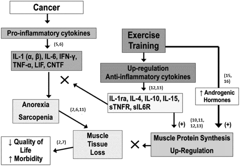 Cancers 04 01247 g001 1024