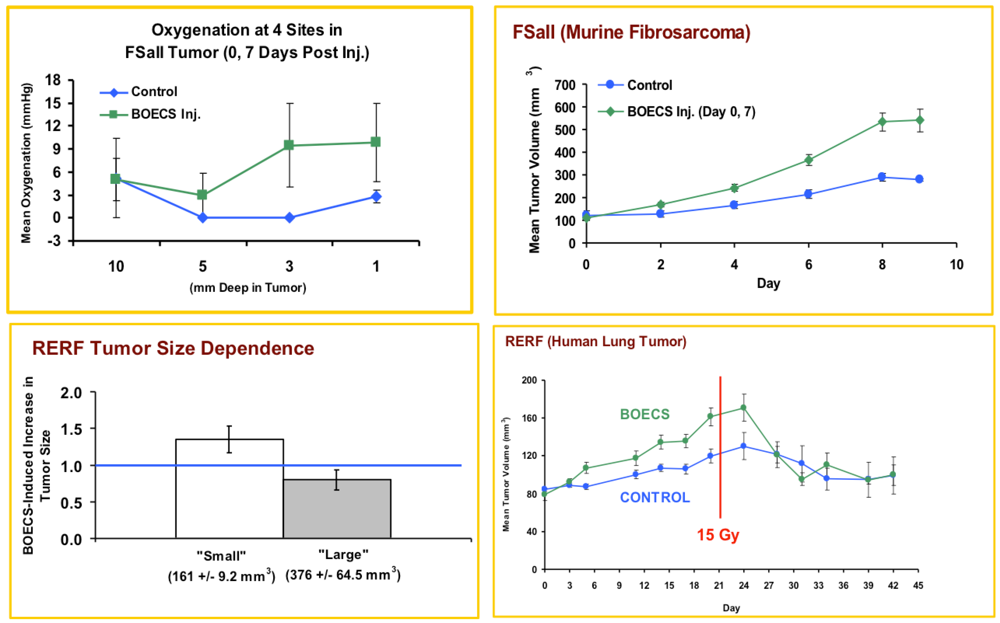 Cancers 05 00205 g002 1024