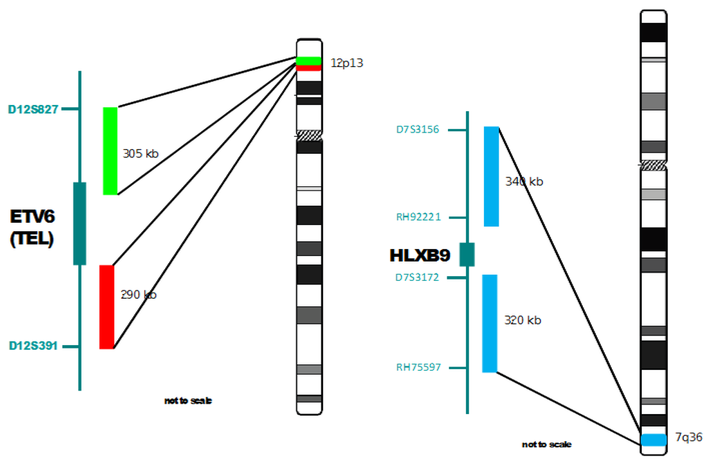Cancers 05 00281 g001 1024