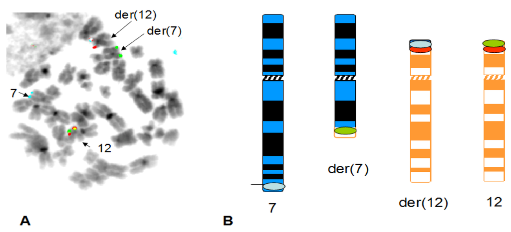 Cancers 05 00281 g002 1024