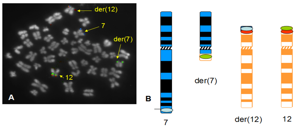 Cancers 05 00281 g003 1024