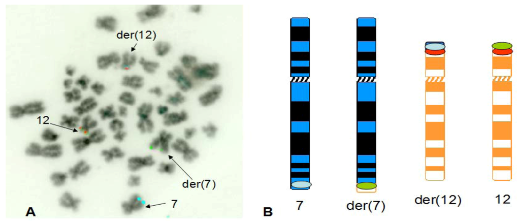 Cancers 05 00281 g004 1024