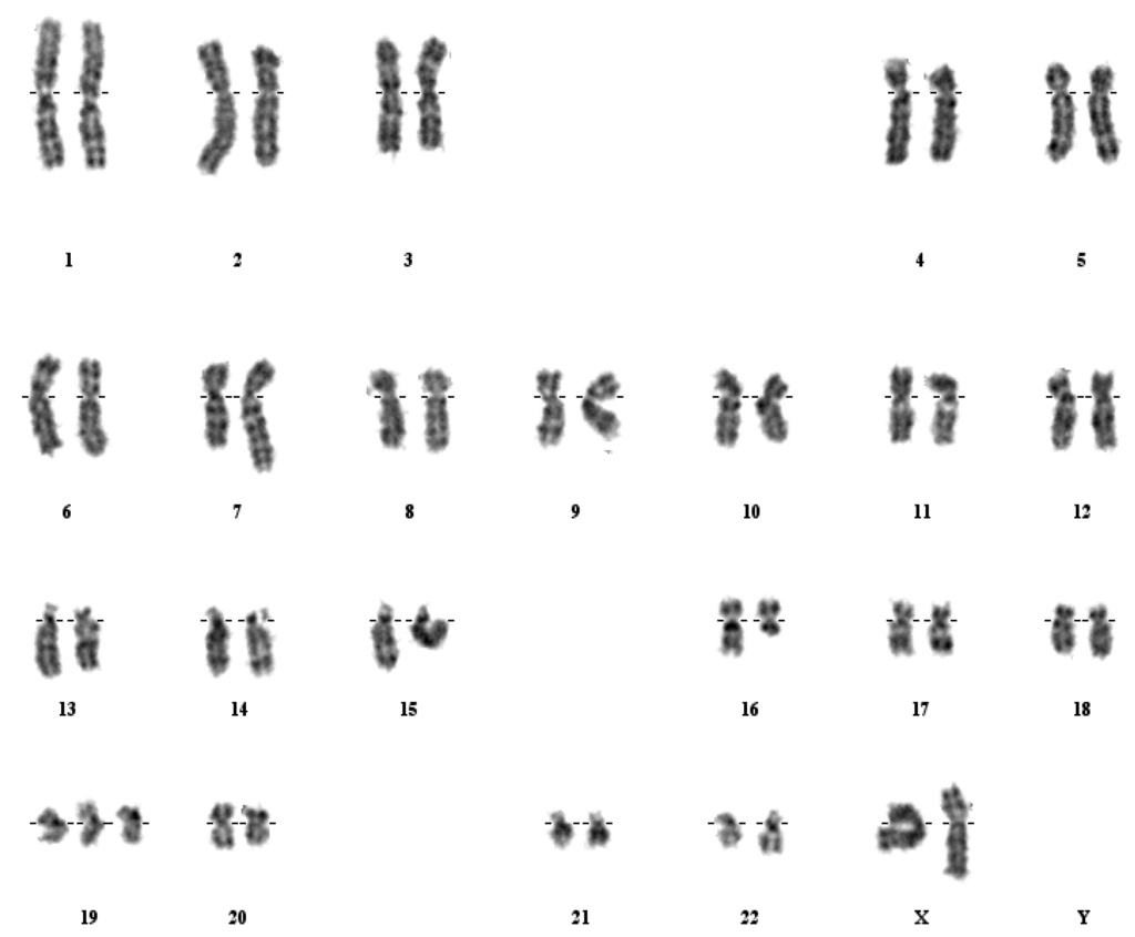 Cancers 05 00281 g006 1024