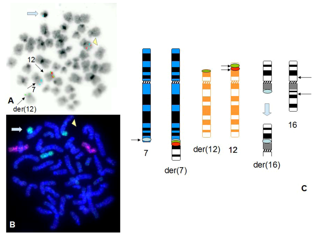 Cancers 05 00281 g007 1024