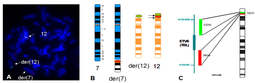 Cancers 05 00281 g008 1024