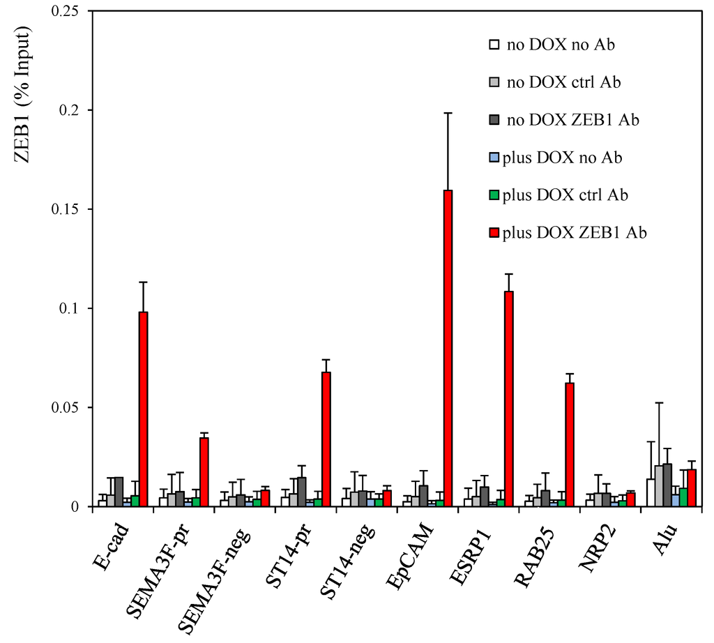 Cancers 05 00334 g003 1024
