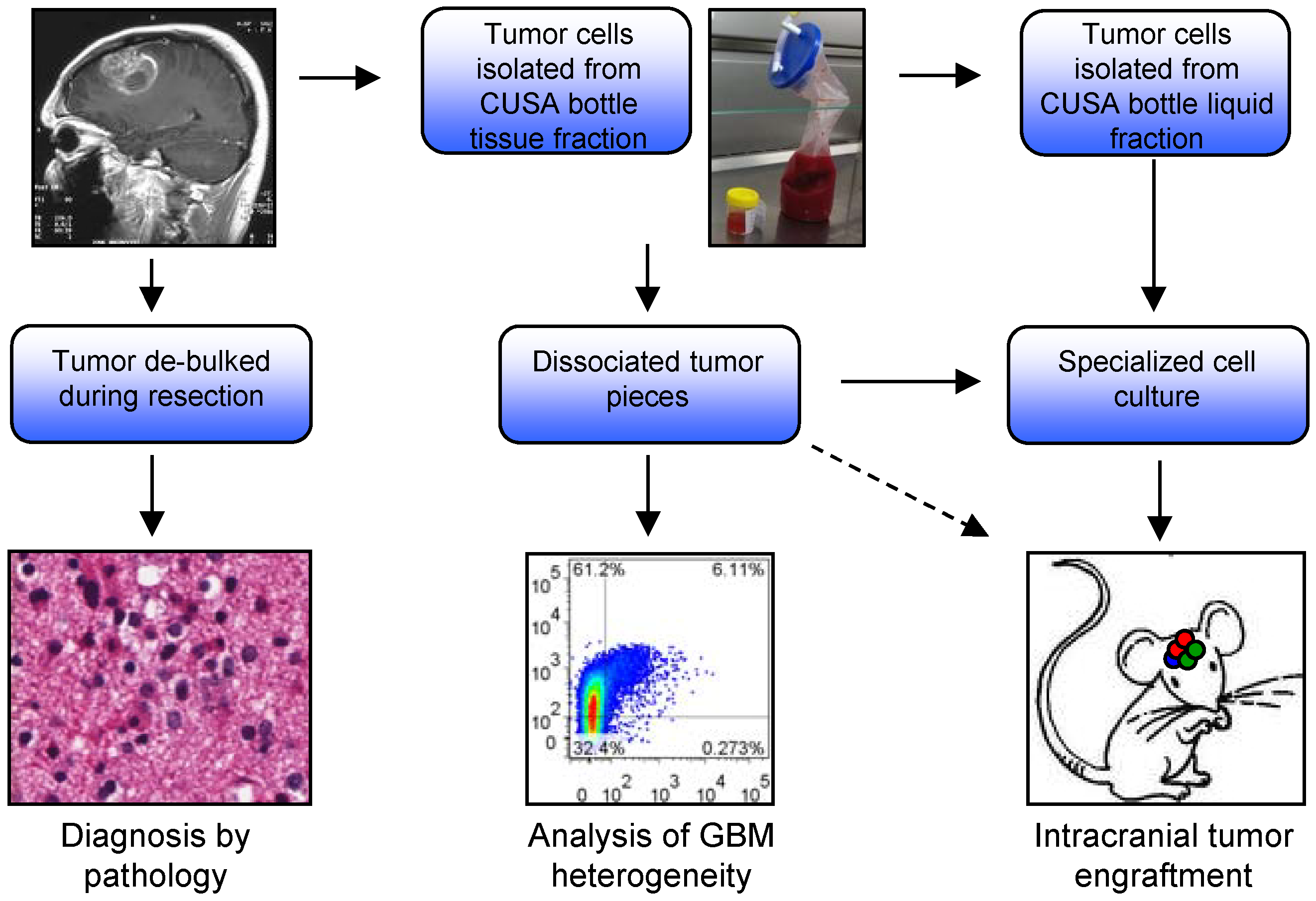 Cancers 05 00357 g001
