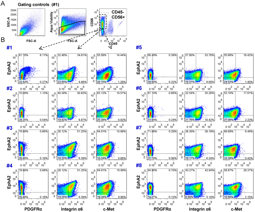 Cancers 05 00357 g005 1024