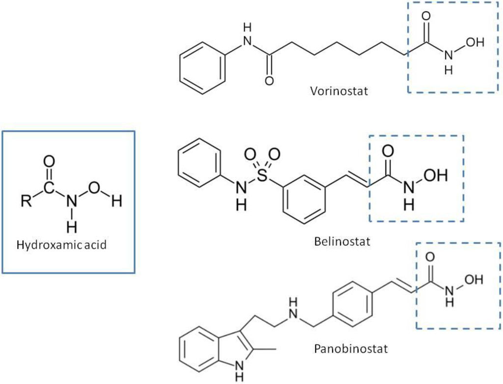 Cancers 05 00919 g001 1024