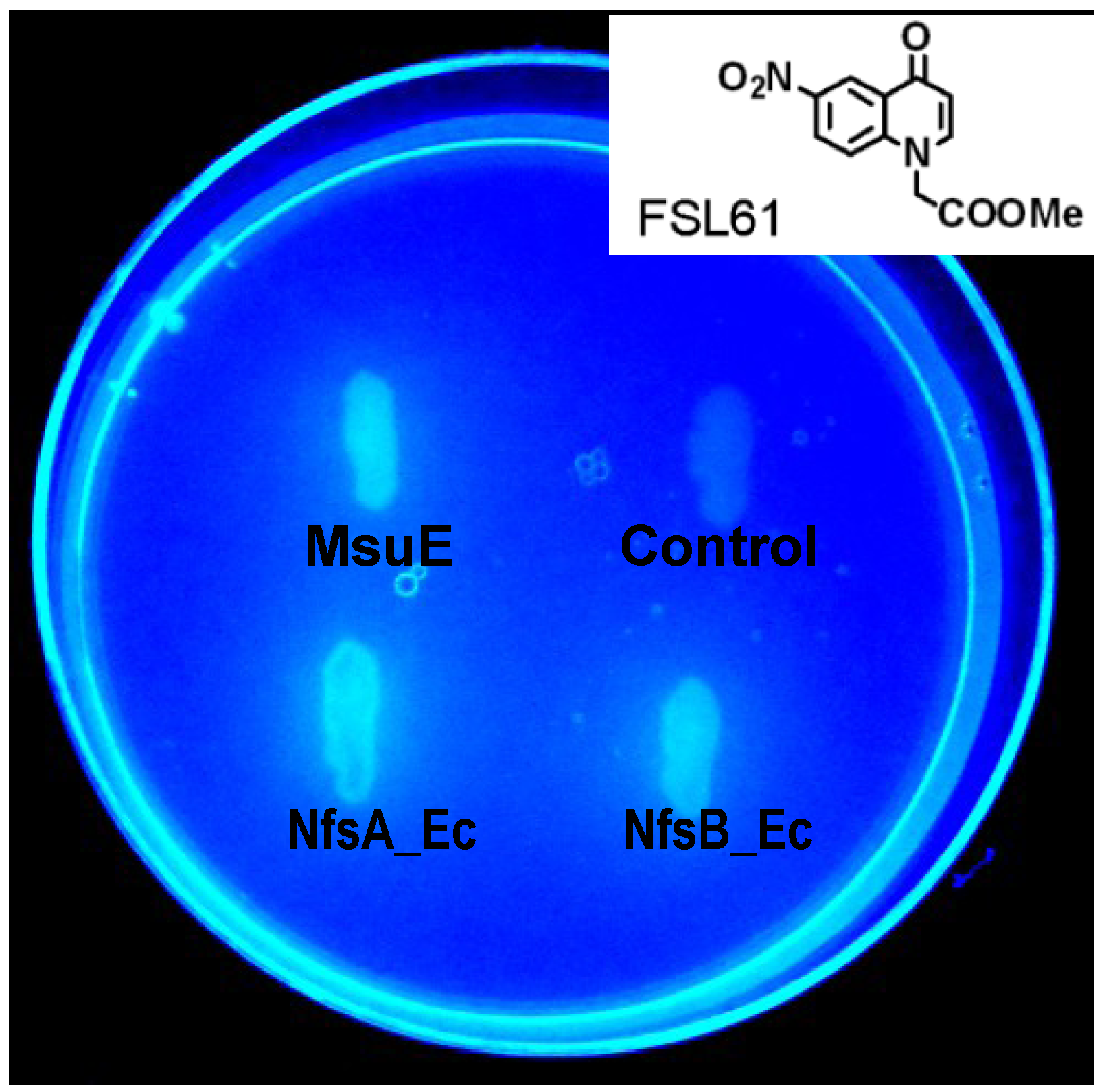 Cancers 05 00985 g001