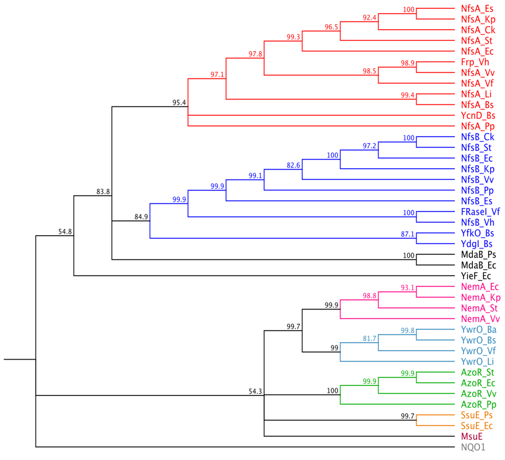 Cancers 05 00985 g002 1024