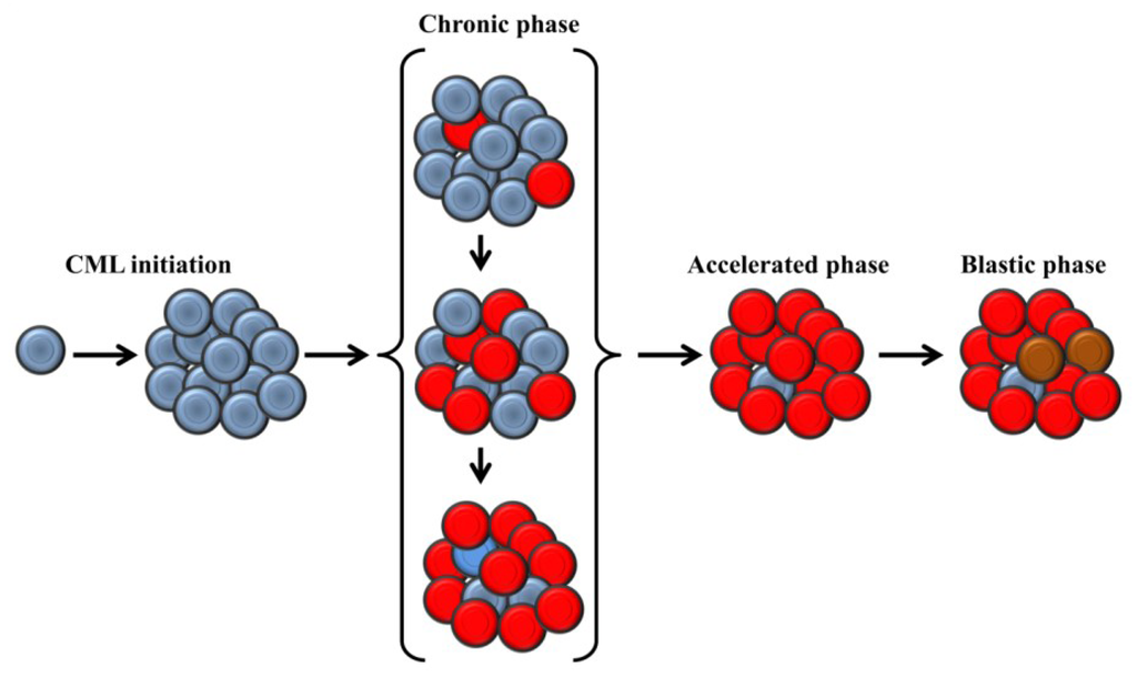 Cancers 05 01086 g001 1024