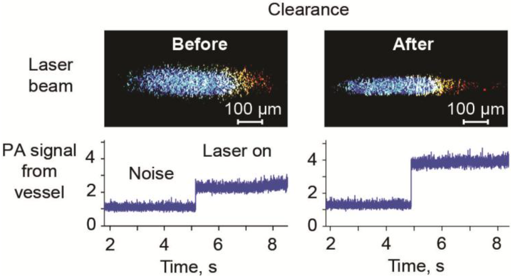 Cancers 05 01691 g007 1024
