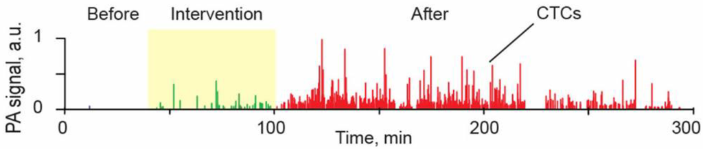 Cancers 05 01691 g013 1024