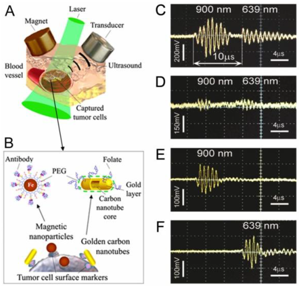 Cancers 05 01691 g017 1024