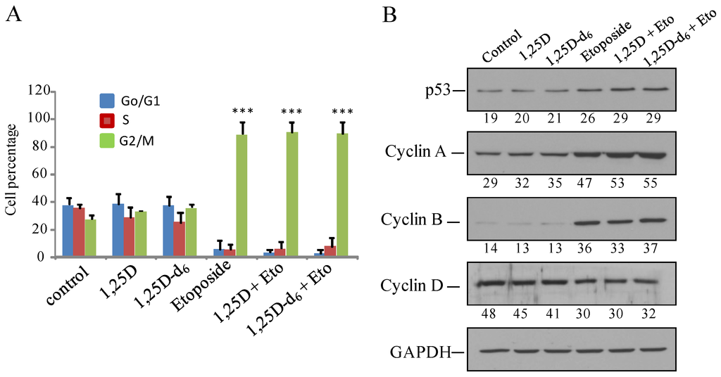 Cancers 06 00067 g003 1024
