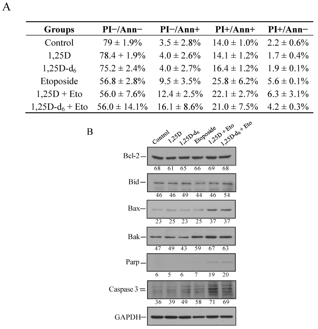 Cancers 06 00067 g004 1024